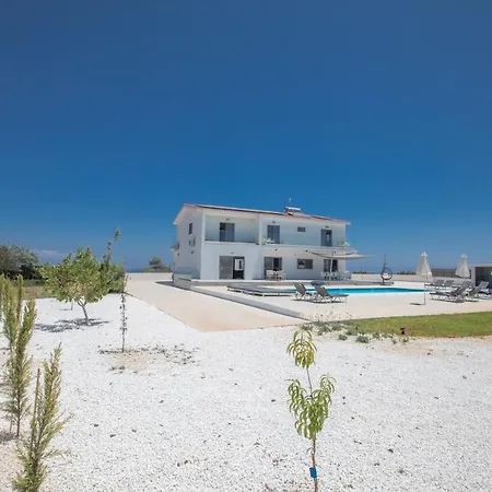 Marylou 普罗塔拉斯